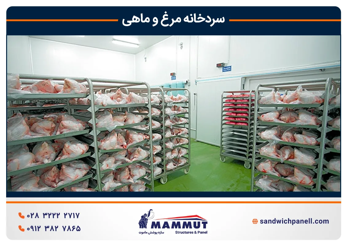 سردخانه مرغ