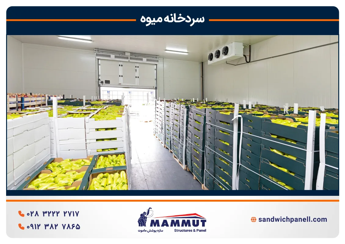 سردخانه میوه و سبزیجات