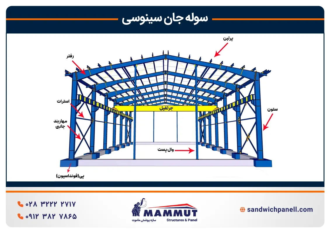 اجزای سوله جان سینوسی