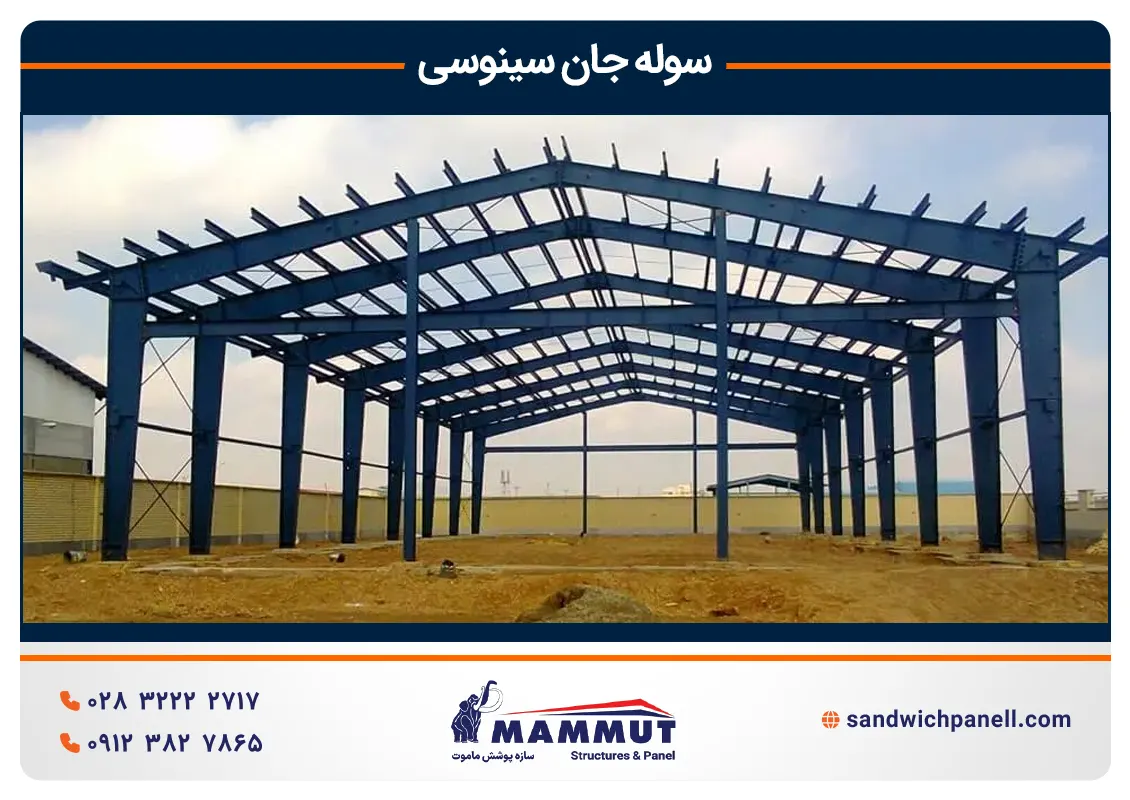 انواع سوله جان سینوسی